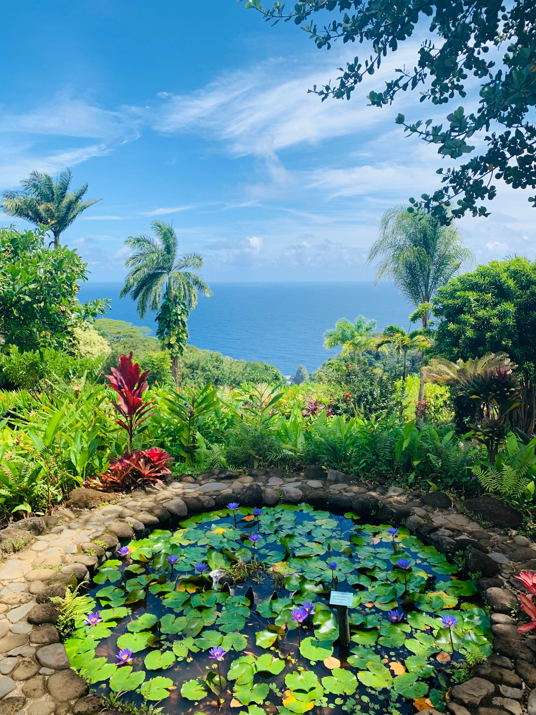 Garden of Eden Arboretum, Road to Hana, Maui, Hawaii