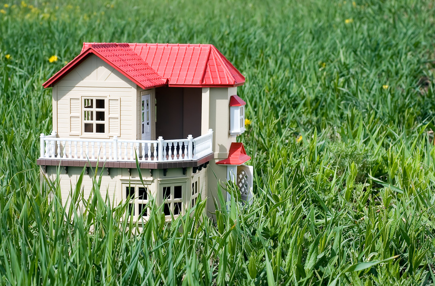 dollhouse on green grass