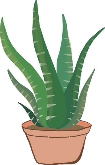 Potted Plant Illustration