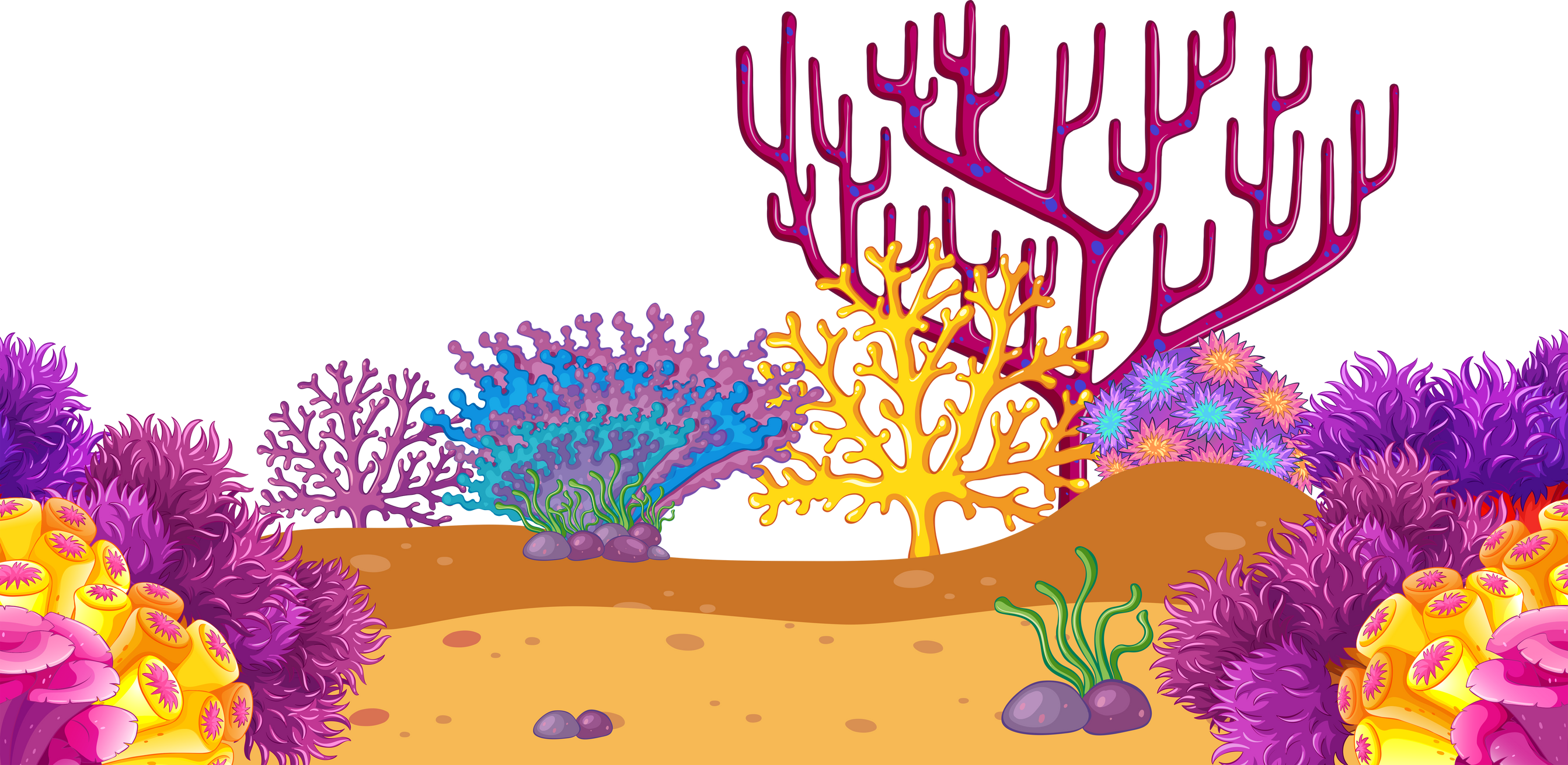 An underwater coral background