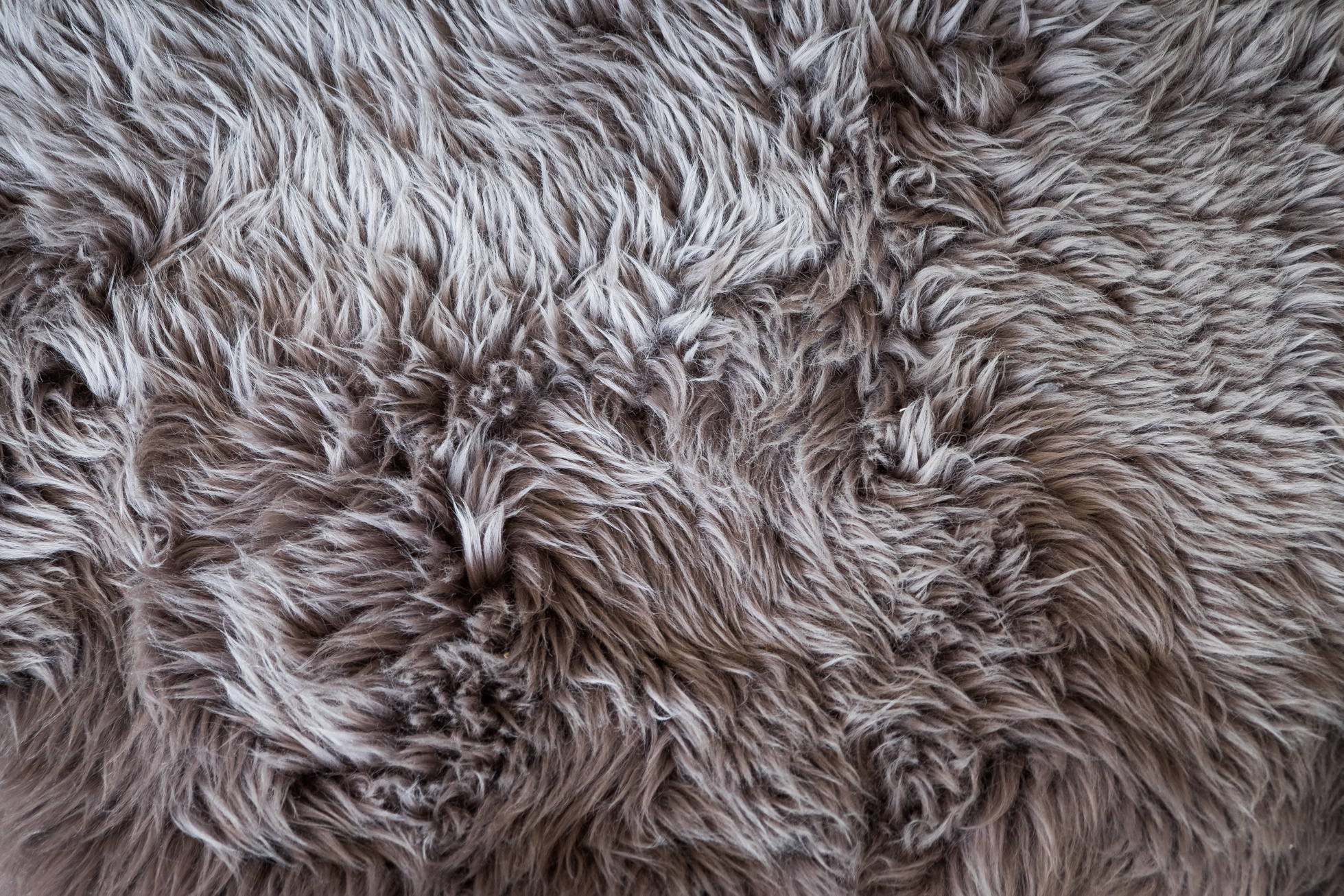 Shag Rug Close Up