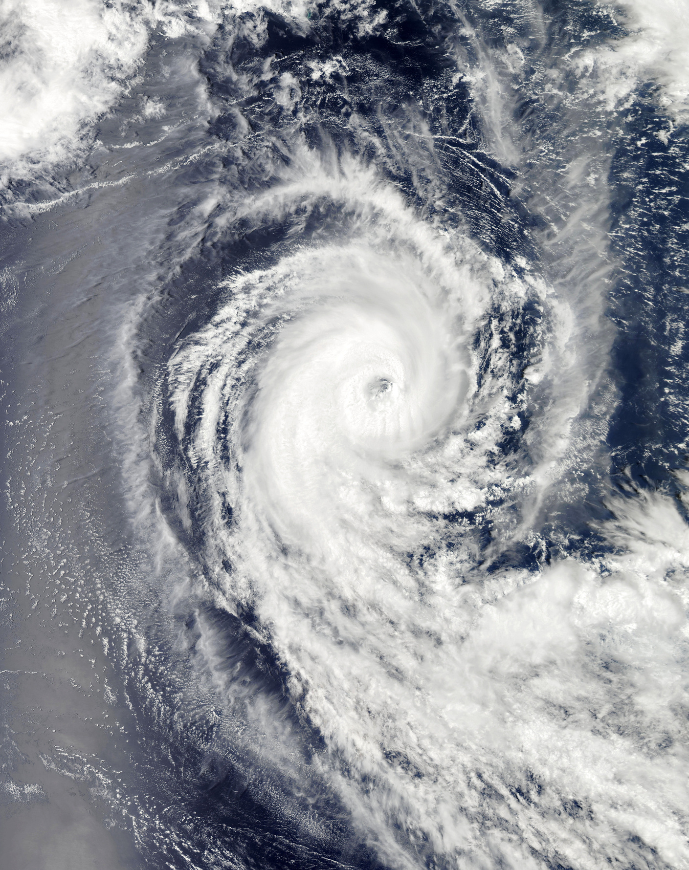 Hurricane Satellite Photo