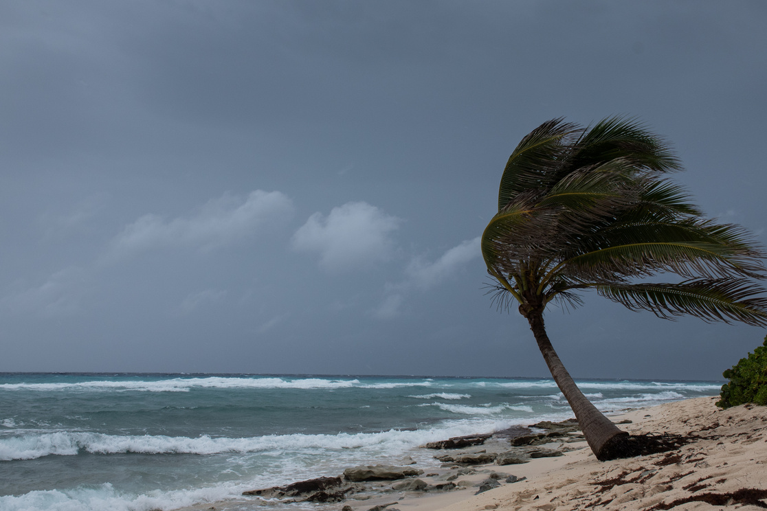 Hurricane Laura