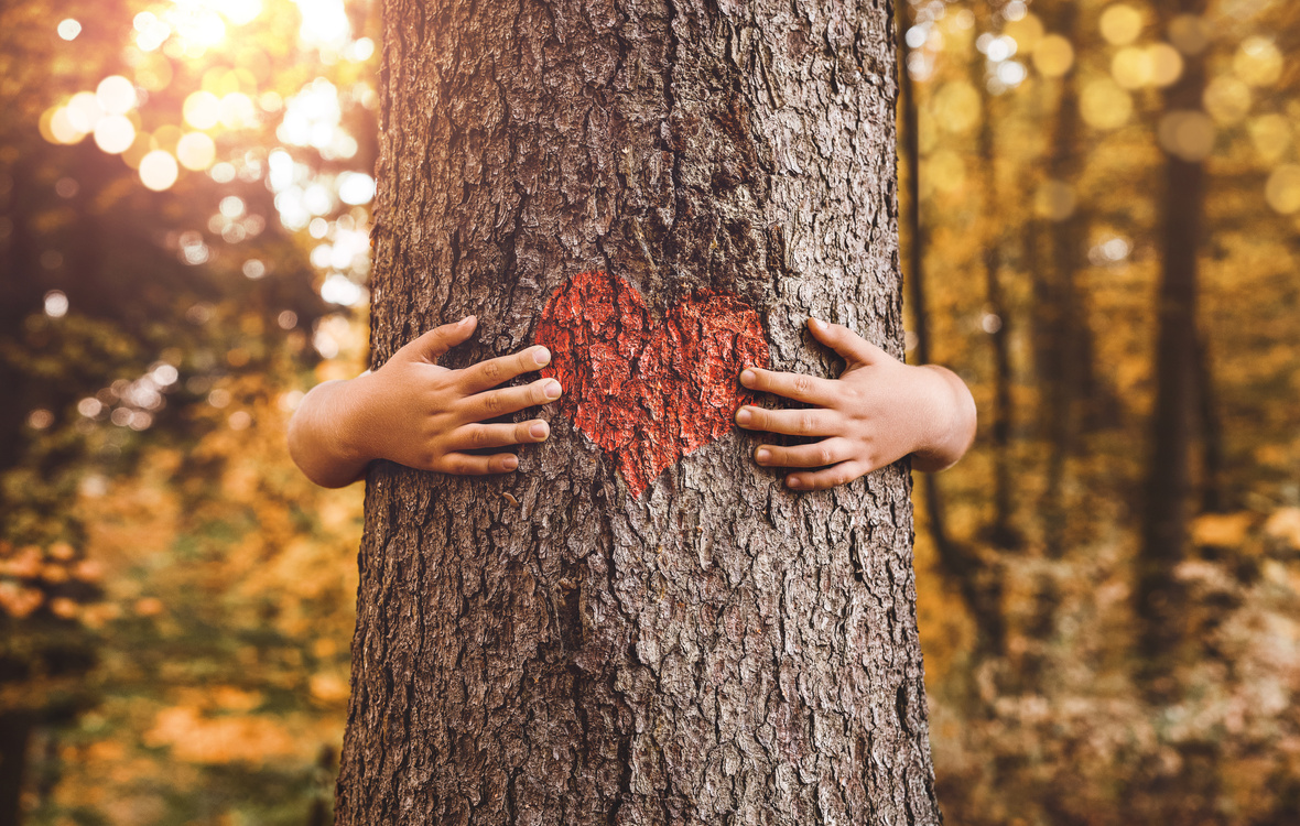 Hugging a tree