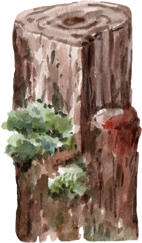 Watercolor Wood Illustration