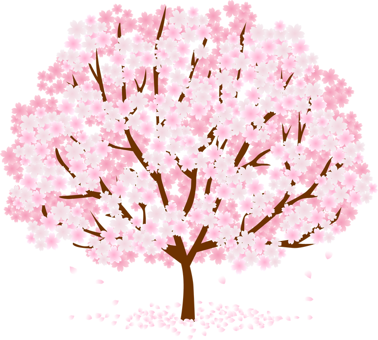 Sakura Tree Illustration